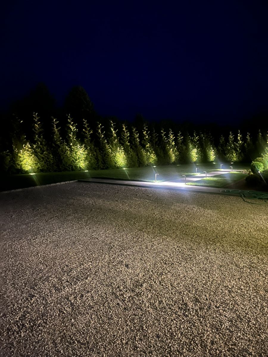 Driveway and hedges lit with landscape lighting at night